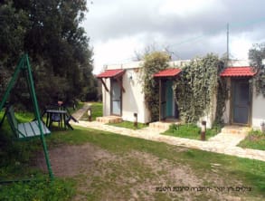 בית%20ספר%20שדה%20הר%20מירון%20,%20מירון